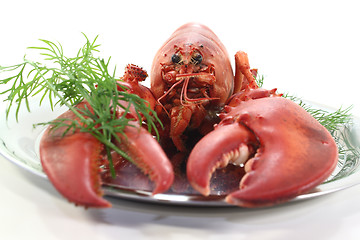 Image showing lobster with dill