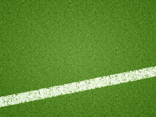 Image showing soccer green grass