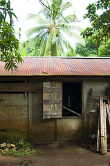 Image showing house in jungle Big Corn Island Nicaragua