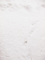 Image showing White snow background