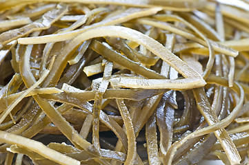 Image showing seaweed 