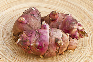 Image showing Jerusalem artichoke