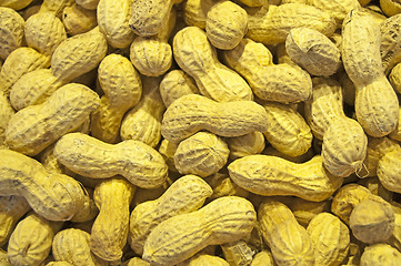 Image showing peanut