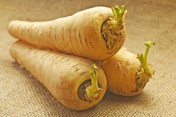 Image showing parsnip