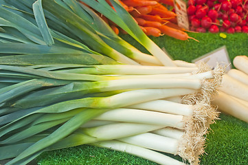 Image showing leek