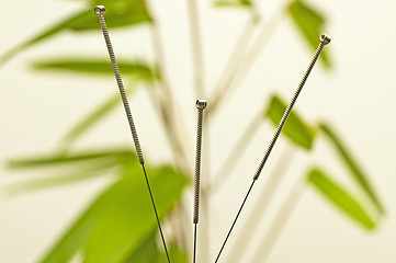 Image showing acupuncture needle