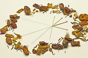 Image showing Acupuncture needle and chinese herbs