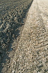 Image showing acre with stubble field