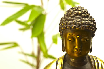 Image showing Buddha