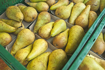 Image showing pear 