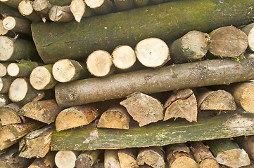 Image showing fuel wood
