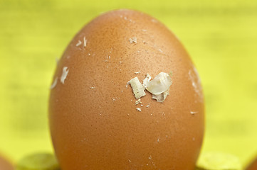 Image showing egg