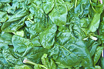 Image showing spinach