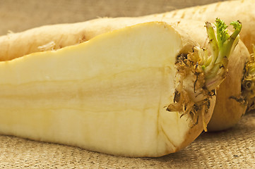 Image showing parsnip