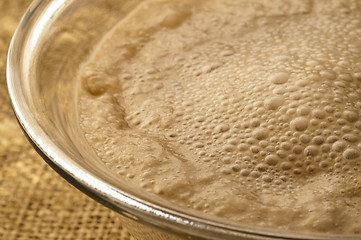 Image showing yeast