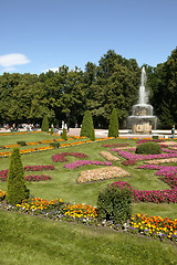 Image showing Fountain in Petergof