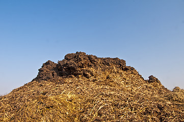 Image showing dung hill