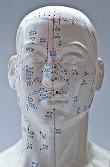 Image showing Acupuncture head model