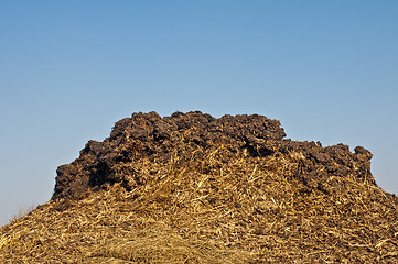 Image showing dung hill