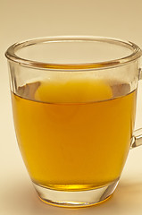 Image showing Oswego tea