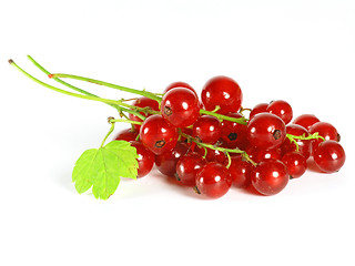 Image showing summer fruits: Redcurrant