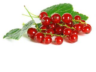 Image showing summer fruits: Redcurrant