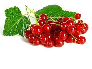 Image showing summer fruits: Redcurrant