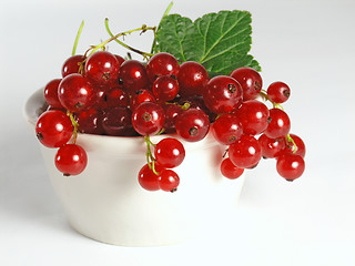 Image showing summer fruits: Redcurrant