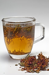 Image showing Oswego tea