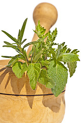 Image showing mortar with herbs