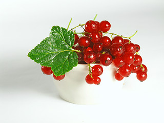 Image showing summer fruits: Redcurrant