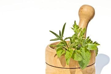 Image showing mortar with herbs