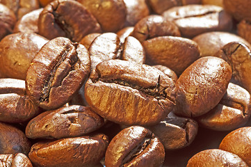 Image showing coffee beans 