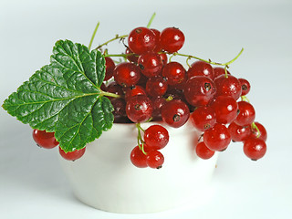 Image showing summer fruits: Redcurrant