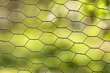 Image showing fence with green background