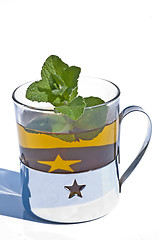 Image showing peppermint tea with leaves