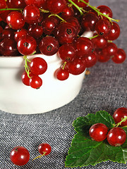 Image showing summer fruits: Redcurrant