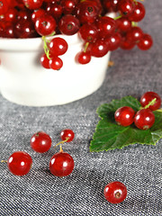 Image showing summer fruits: Redcurrant