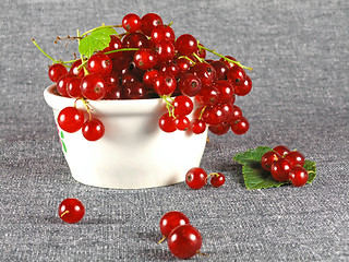 Image showing summer fruits: Redcurrant