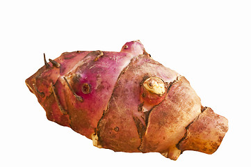 Image showing Jerusalem artichoke
