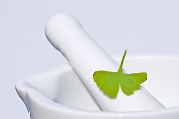 Image showing mortar with Ginkgo leaf
