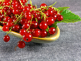 Image showing summer fruits: Redcurrant