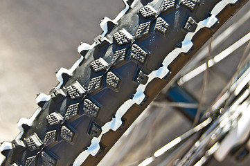 Image showing bicycle tyre