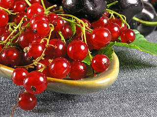 Image showing summer fruits: Redcurrant