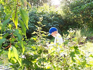 Image showing Garden moment