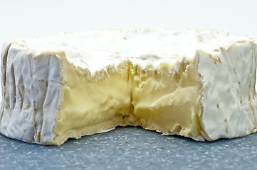 Image showing camembert cheese