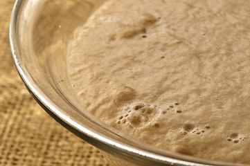 Image showing yeast