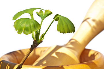 Image showing mortar with herbs