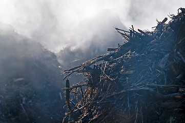 Image showing compost heap