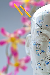 Image showing Acupuncture head model